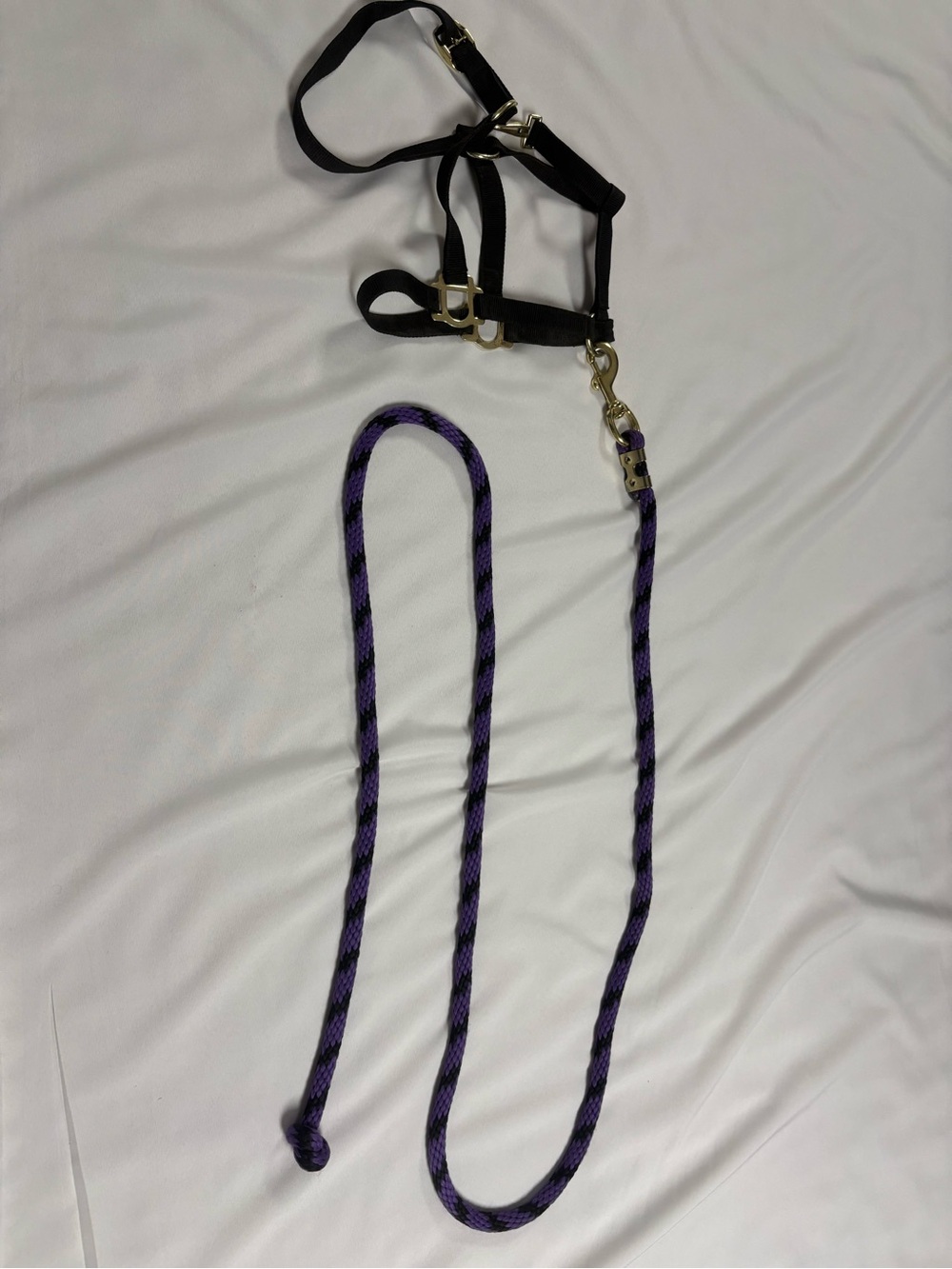 Purple and Black Rope Lead with Black Nylon Halter
